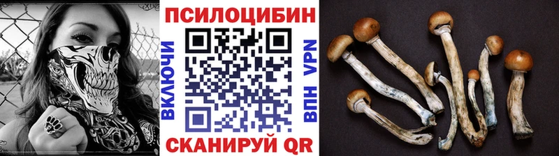 Псилоцибиновые грибы Magic Shrooms  kraken зеркало  Полевской 