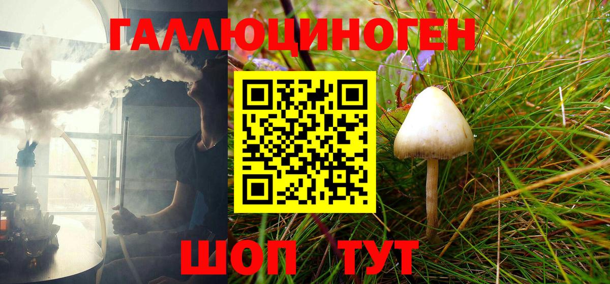 Псилоцибиновые грибы Psilocybe Полевской