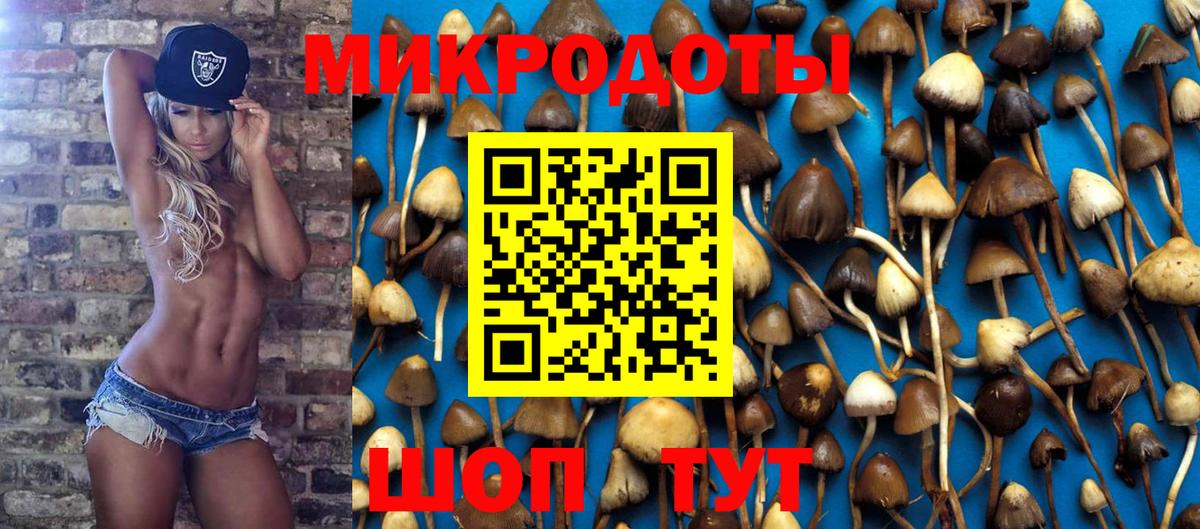 Галлюциногенные грибы Magic Shrooms Полевской