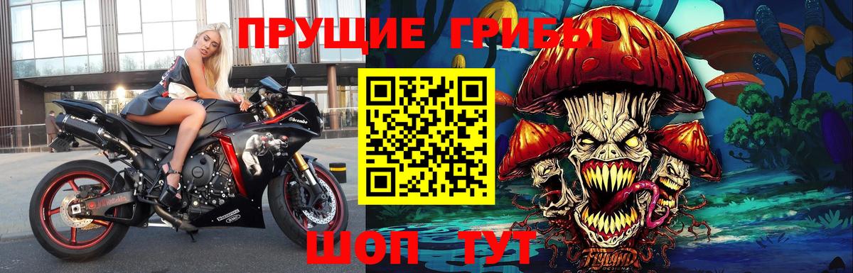 наркота  Псилоцибиновые грибы Psilocybine cubensis  Вход с VPN  Полевской 