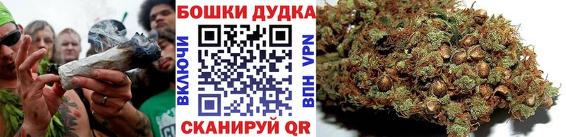 магазин продажи наркотиков  Полевской  Канабис ГИДРОПОН 